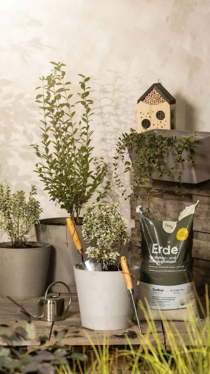 翠庭ガーデンデザイン株式会社