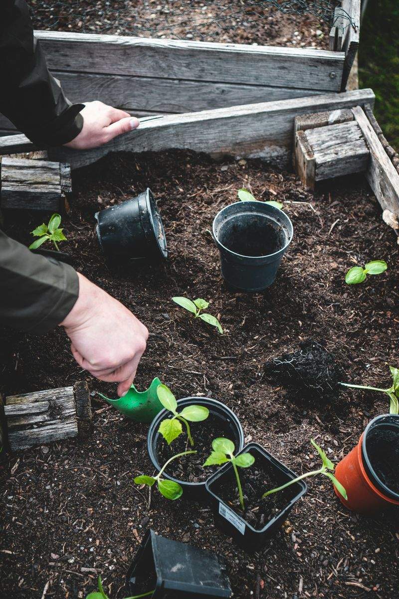 小さなスペースを活かす庭デザイン