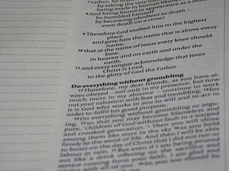 四季を楽しむ中庭リニューアル