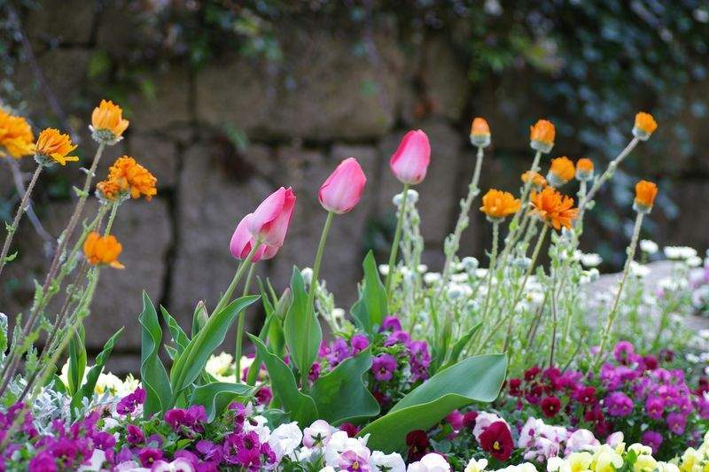 店舗前アプローチの印象改善