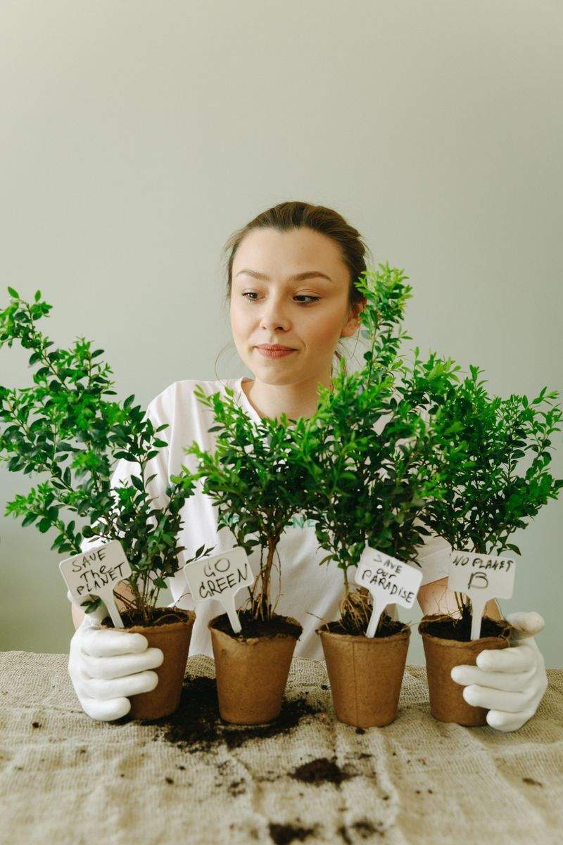 翠庭ガーデンデザイン株式会社 11