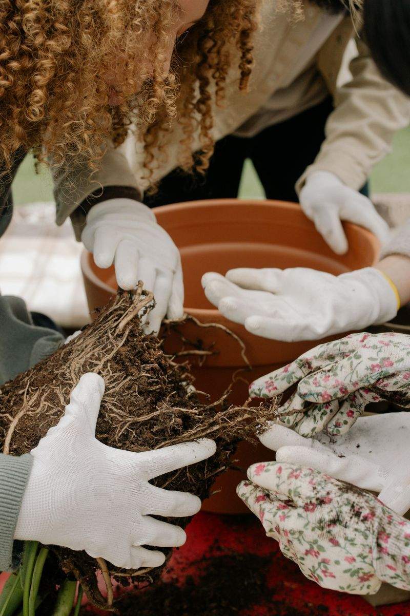 翠庭ガーデンデザイン株式会社 15