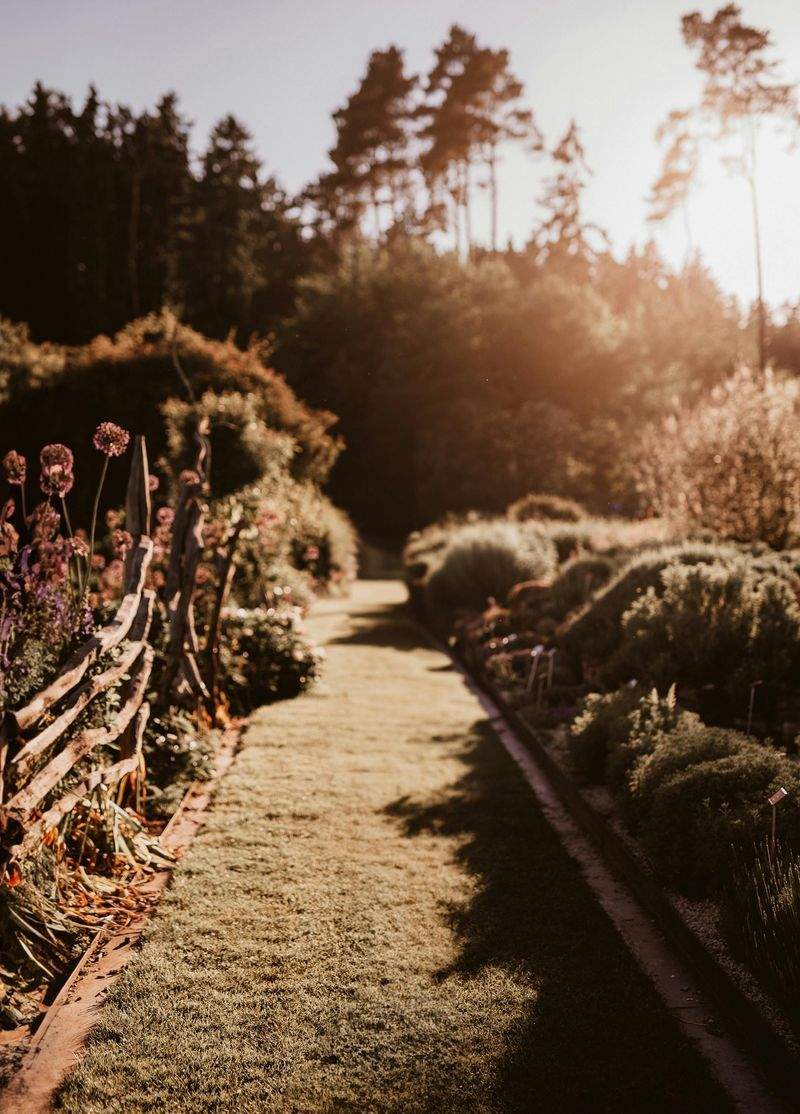 翠庭ガーデンデザイン株式会社 3