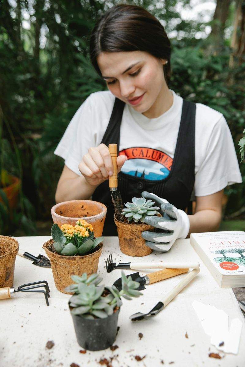 花壇づくり・季節の寄せ植え